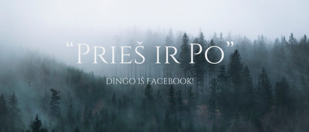 KUR DINGO PRIES IR PO GRUPE